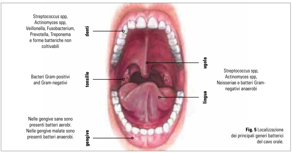 scarsa igiene orale 1