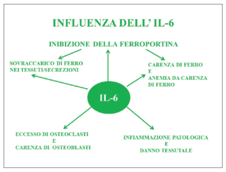 influenza IL 6